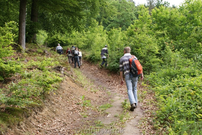 Következő dia